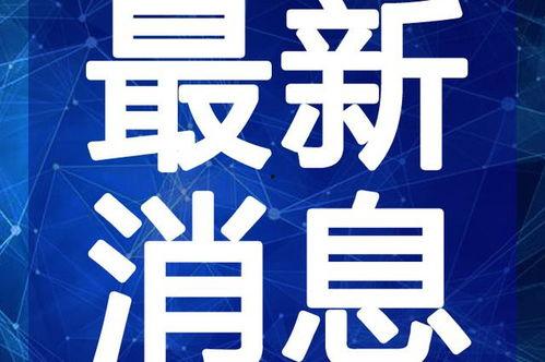 大连交大夜市爆料视频最新,美食云集，夜生活新地标揭秘